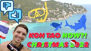 Ko Tao diving and 3 day trip. Thailands best island? Scuba Diving Christmas/New Years 2022-2023