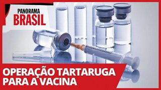 Operação tartaruga para a vacina - Panorama Brasil nº 469 - 02/02/21