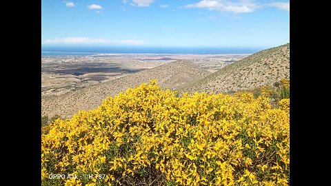 Wind, flowers and mountains