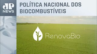 Representantes de distribuidores de combustíveis pedem mudanças no RenovaBio