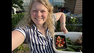 The FIRST Allotment HARVEST!