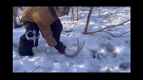 Iowa Shed Hunting