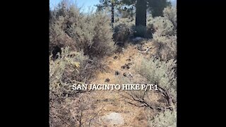 Southern California San Jacinto Idyllwild Mountain Hike