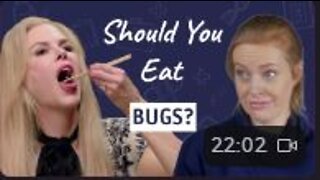 SHOULD YOU EAT BUGS? ACCORDING TO KLAUS & BILL, WE SHOULD - Dr Sam Bailey