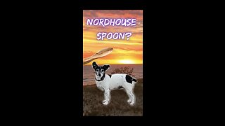 Nordhouse Spoon?