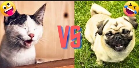 Cat and dog very funny movement vodeo clips