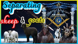 SAPARATING SHEEP & GOATS