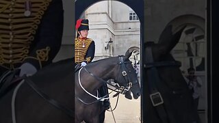 Stand clear of the kings guard she shouts #horseguardsparade