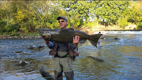 Milwaukee River Salmon Fishing Fall 2021 (Short 2)