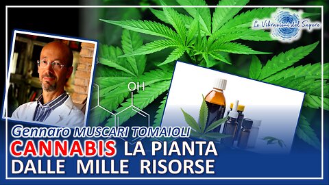 Cannabis, la pianta dalle mille risorse - Gennaro Muscari Tomaioli