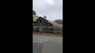 Borges Ranch Barn and Windmill