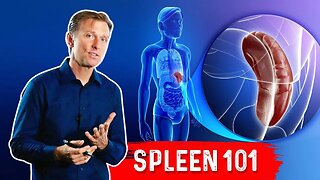 What Does The Spleen Do? – Dr.Berg Explains Spleen Function