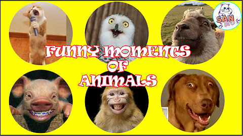 Top 30 Hilarious Moment of Animals | Funny Animals Compilation Video 2023