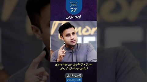 عمران خان کا جیل میں ہونا ہماری الیکشن مہم آسان کر رہا ہے:زلفی بخاری