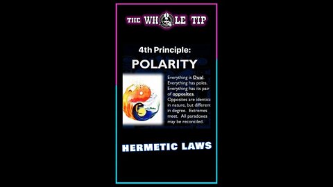 HERMETIC LAWS IV POLARITY - the Whole Tip Daily #shorts