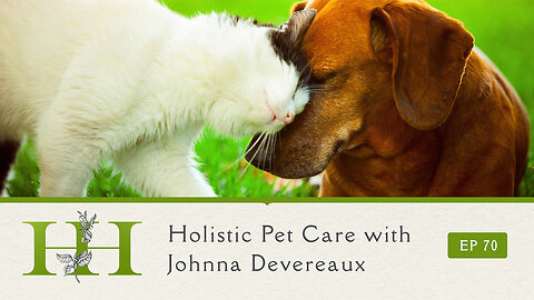 Holistic Pet Care with Johnna Devereaux - Ep. 70 - The Healing Home