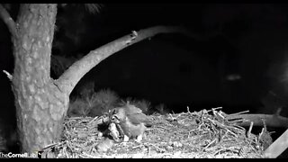 Mom Brings In Breakfast 🦉 3/2/22 03:08