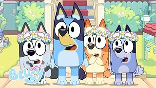 Bluey: The Sign Official Trailer LATEST UPDATE & Release Date