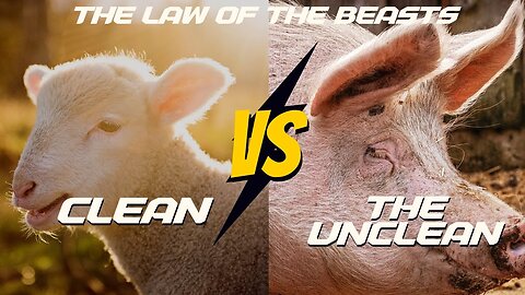 THE MYSTERY OF BEASTS CLEAN AND UNCLEAN