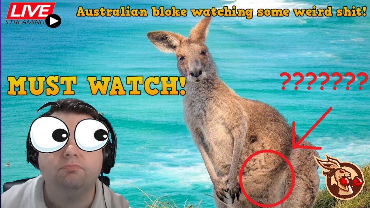 Daily Briefing - Daily Briefing - $1.6b of meth coconut water, 'zombie ...