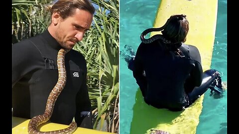 Gold Coast 'legend' Higor Fiuza takes pet python surfing