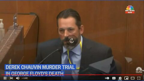 George Floyd Trial - Use Of Force Expert For Police Testifies - Direct Examination - Part 1 of 2