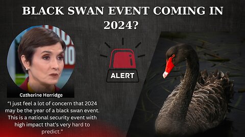 Black swan event coming in 2024?