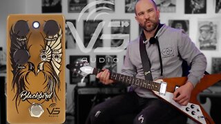 Turn a Marshall into a Fender? - VS Audio Blackbird Dirt Box!
