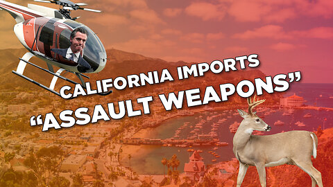 SHOCKER!! California Imports "Assault Weapons"