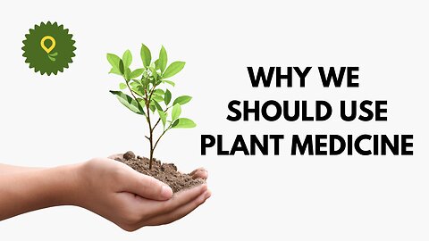 Why we should use plant medicine