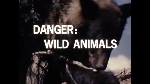 Mutual of Omaha's Wild Kingdom - "Danger: Wild Animals"