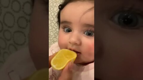 baby eating lemon | #CuteBabies #Cute #BabyShark#BabyBus