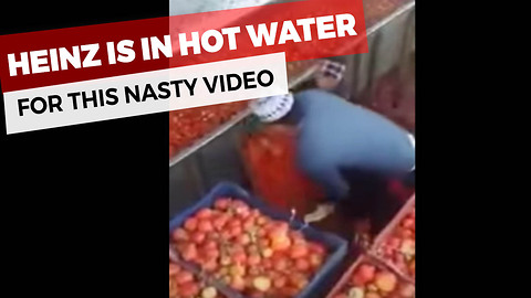 Heinz Wants Disgusting Video From Inside Factory Deleted. See It Before It’s Taken Down