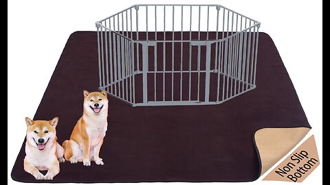 Review 2 Pack Non-Slip Dog Pee Mat Crate Pad for Pets Dogs Cats Washable Reusable Dog Pads and...