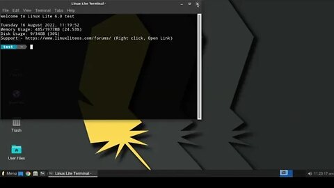 Taking a quick look at linux lite