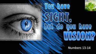 Do You Have Sight, Or Do You Have Vision?