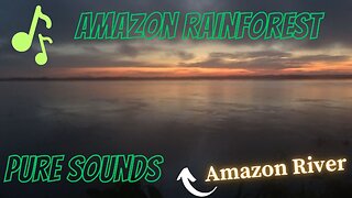 10 minutes of Pure sounds from The Amazon Rainforest