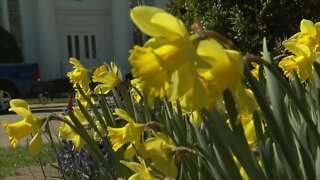 Sowing community through seed library in Silver Creek