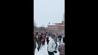 OSU Snowball Fight