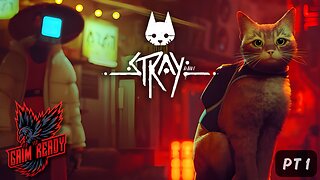 Stray Live Gameplay - PT 1