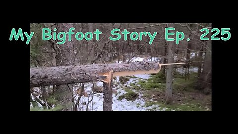 My Bigfoot Story Ep 225 Exploring The Far Back