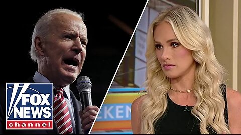 Tomi Lahren: This has been a years-long scandal in the making