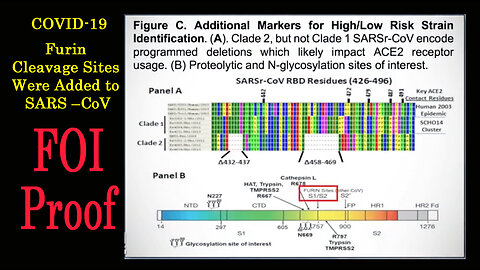 Furin Cleavage Sites Were Added to SARS –CoV – FOI Proof