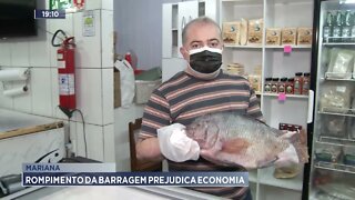 Mariana: Rompimento da barragem prejudica economia