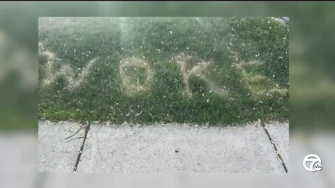 Vandal writes 'woke' on Clawson couple's lawn, captured on surveillance camera