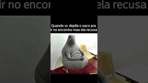 memes em imagens #42 Ligo o PC as 3 da manhã para #shorts