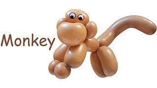 Balloon Monkey