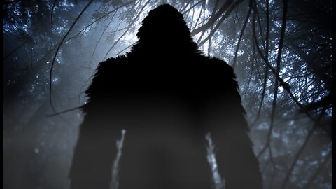 The Bigfoot of the Woods