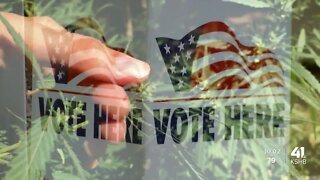 Voters weigh in on where they want money form marijuana tax to be spent