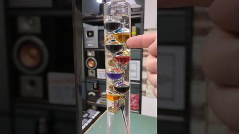 Dumpster Galileo Thermometer